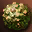 icon etc_cobol_i09