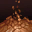 icon skill4282_new